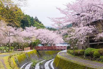 Отель Nagaizumi Sansou Готемба Экстерьер фото